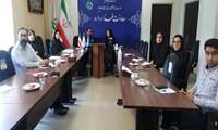 دومین جلسه کارگروه توسعه فناوری اطلاعات و هوش مصنوعی