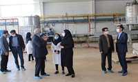 بازدید از شرکت شادچین نگین خاورمیانه