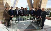 غبار روبی از مزار شهدای دانشگاه علوم پزشکی همدان