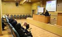 شیرهای محلی و خامه های محلی آلوده ترین لبنیات هستند