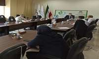 جلسه ای تفکیک درآمدهای دارویی 
