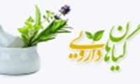 در مصرف گیاهان دارویی دقت و از عوراض جانبی آن پیشگیری کنید