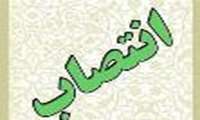 دکتر مجید حنیفه، مسئول کمیته تجویز و مصرف منطقی دارو به عنوان مسئول روابط بین الملل حوزه معاونت غذا و دارو 