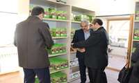 معاون غذا و داروی دانشگاه علوم پزشکی و تیم همراه از سلامتکده بدیع الحکماء بازدید کردند.